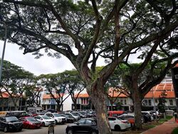 Tanjong Pagar Conservation Area (D2), Shop House #603554791